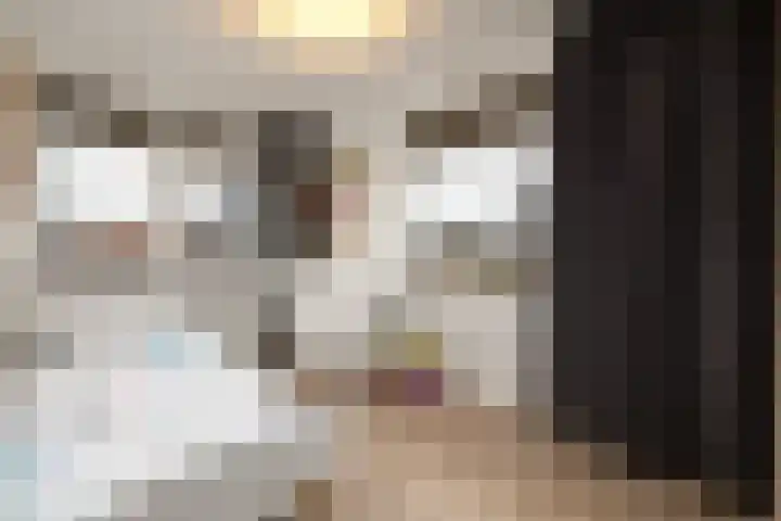 Dagpauwoog 15 Wolvega thumbnail 19