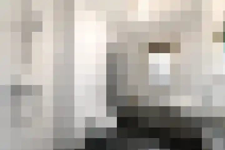 Dagpauwoog 15 Wolvega thumbnail 24