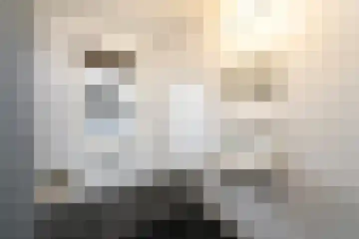 Dagpauwoog 15 Wolvega thumbnail 25