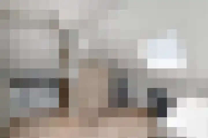 Dagpauwoog 15 Wolvega thumbnail 29