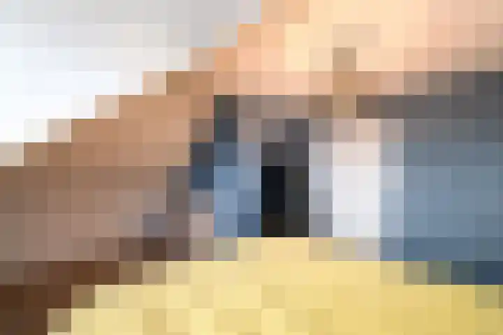 Dagpauwoog 15 Wolvega thumbnail 32
