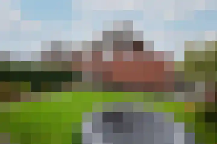 Dagpauwoog 15 Wolvega thumbnail 33