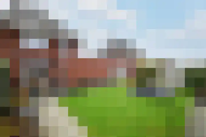 Dagpauwoog 15 Wolvega thumbnail 34