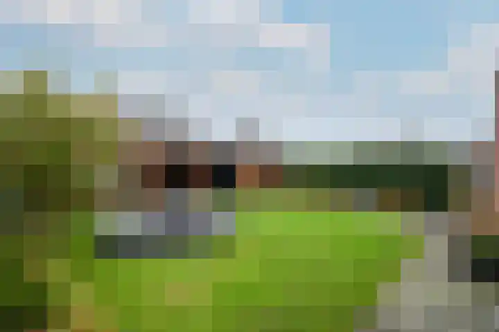 Dagpauwoog 15 Wolvega thumbnail 35