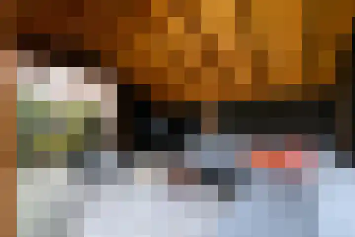 Dagpauwoog 15 Wolvega thumbnail 37