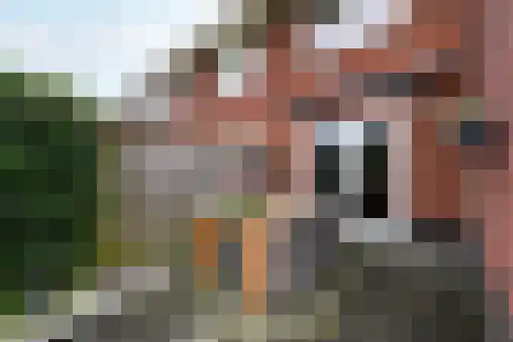 Dagpauwoog 15 Wolvega thumbnail 38