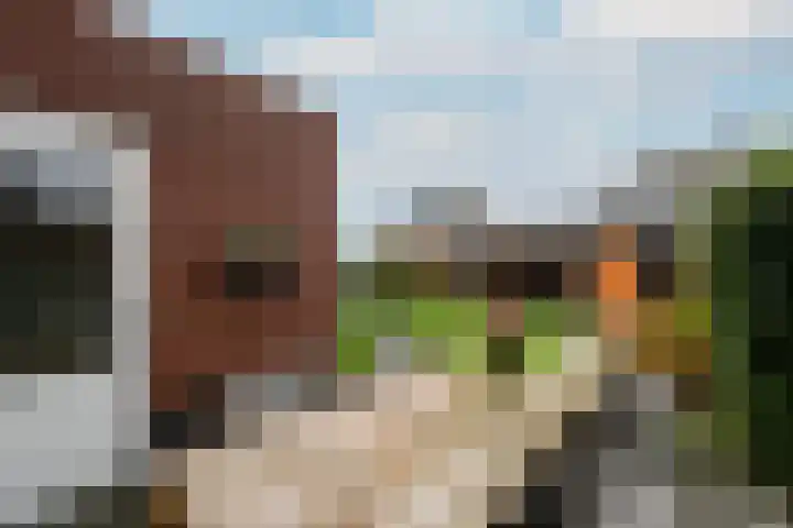 Dagpauwoog 15 Wolvega thumbnail 39