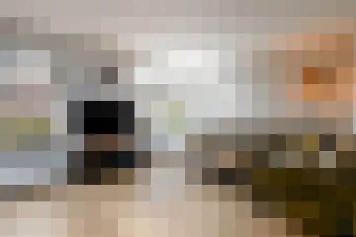 Dagpauwoog 15 Wolvega thumbnail 4