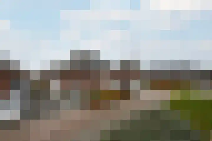 Dagpauwoog 15 Wolvega thumbnail 40