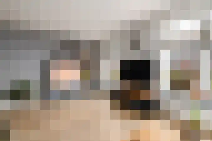 Dagpauwoog 15 Wolvega thumbnail 5