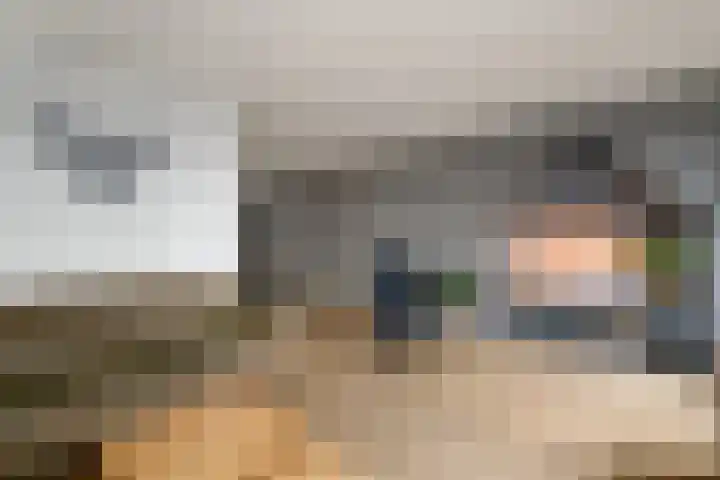 Dagpauwoog 15 Wolvega thumbnail 6