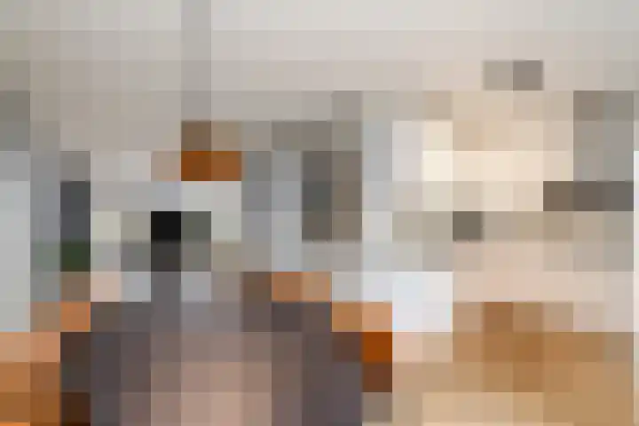 Dagpauwoog 15 Wolvega thumbnail 9