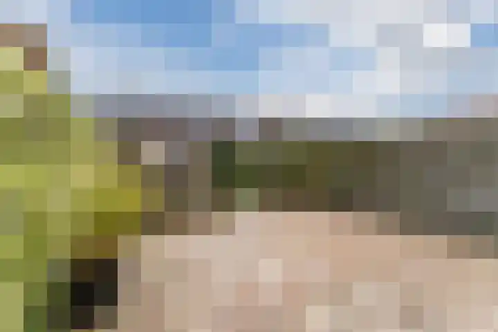 Dagpauwoog 16 Nijkerk thumbnail 23