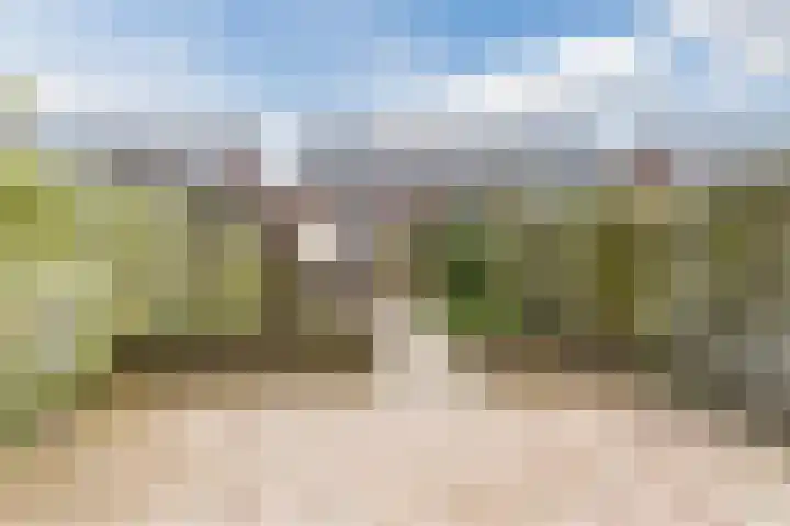 Dagpauwoog 16 Nijkerk thumbnail 24