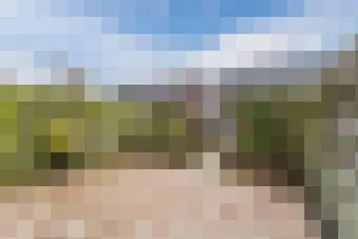 Dagpauwoog 16 Nijkerk thumbnail 25