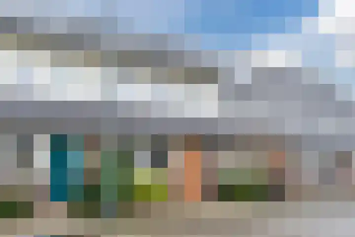 Dagpauwoog 16 Nijkerk thumbnail 26