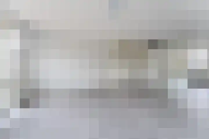 Dagpauwoog 16 Nijkerk thumbnail 9