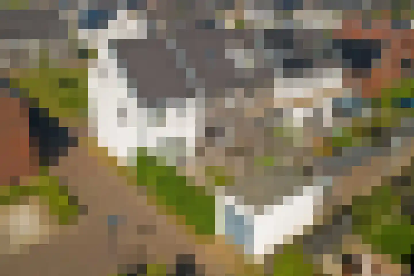 Dagpauwoog 2 Vlijmen