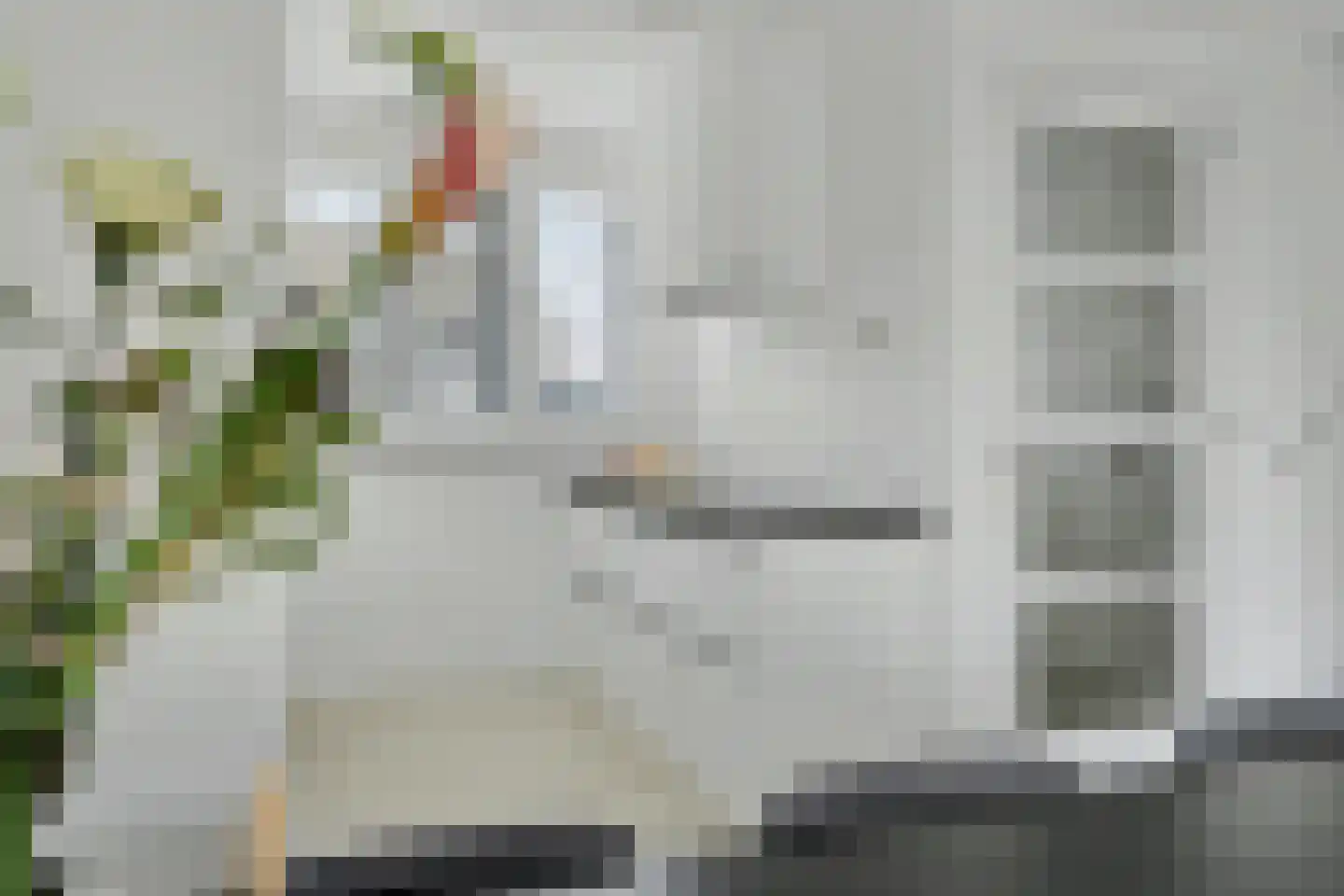 Dagpauwoog 2 Vlijmen thumbnail 10