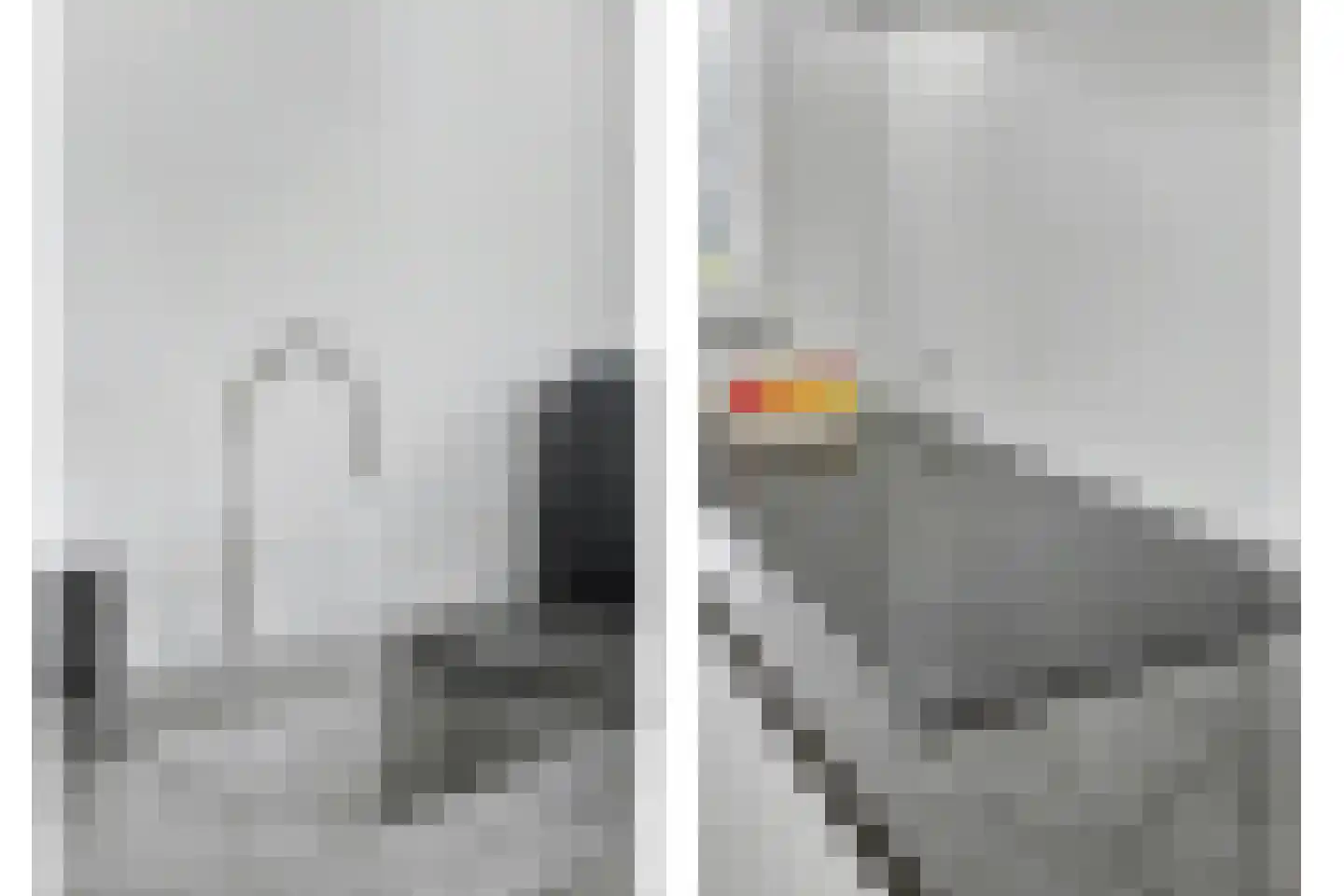 Dagpauwoog 2 Vlijmen thumbnail 12
