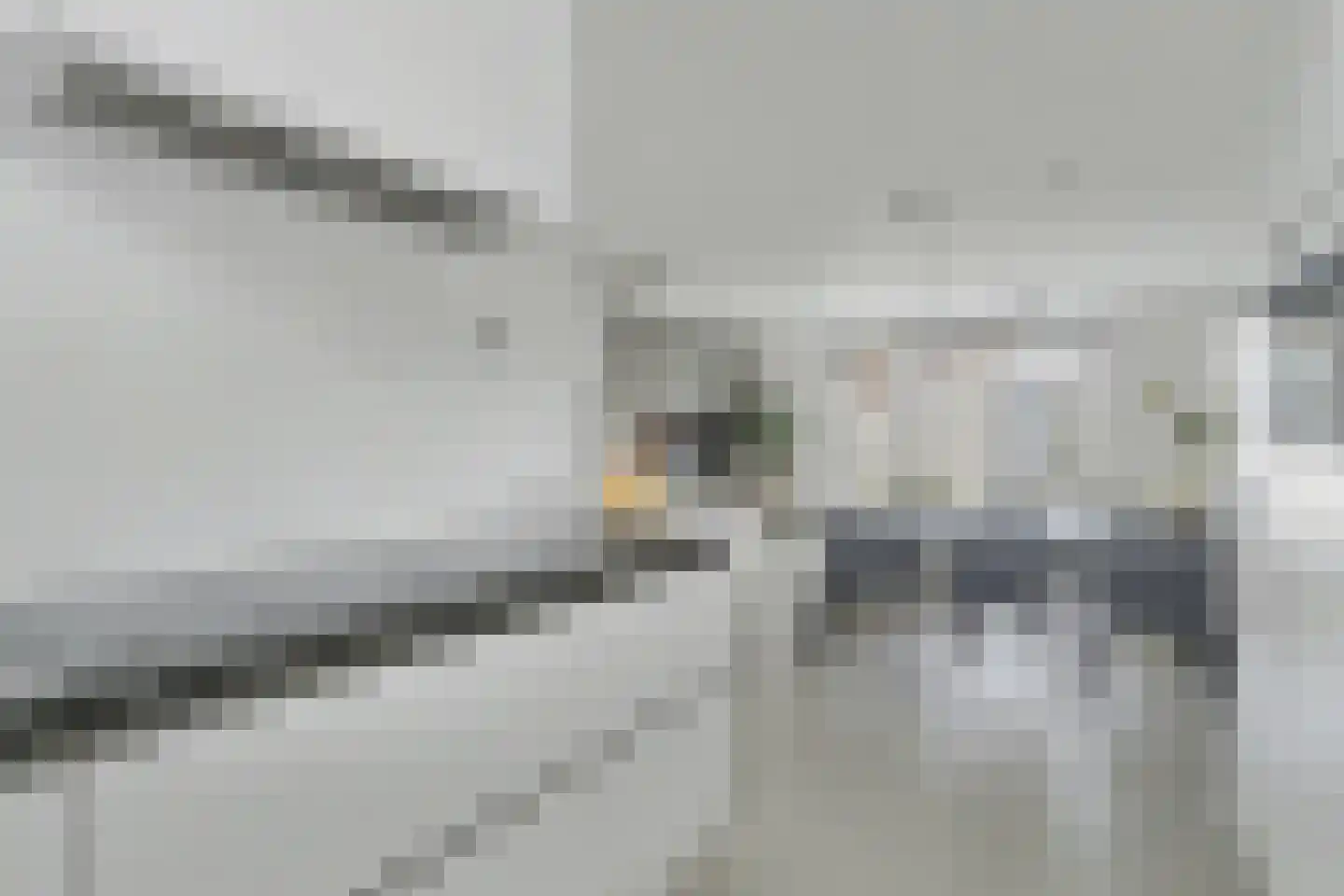 Dagpauwoog 2 Vlijmen thumbnail 13