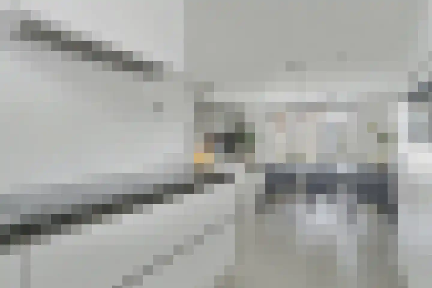 Dagpauwoog 2 Vlijmen thumbnail 15