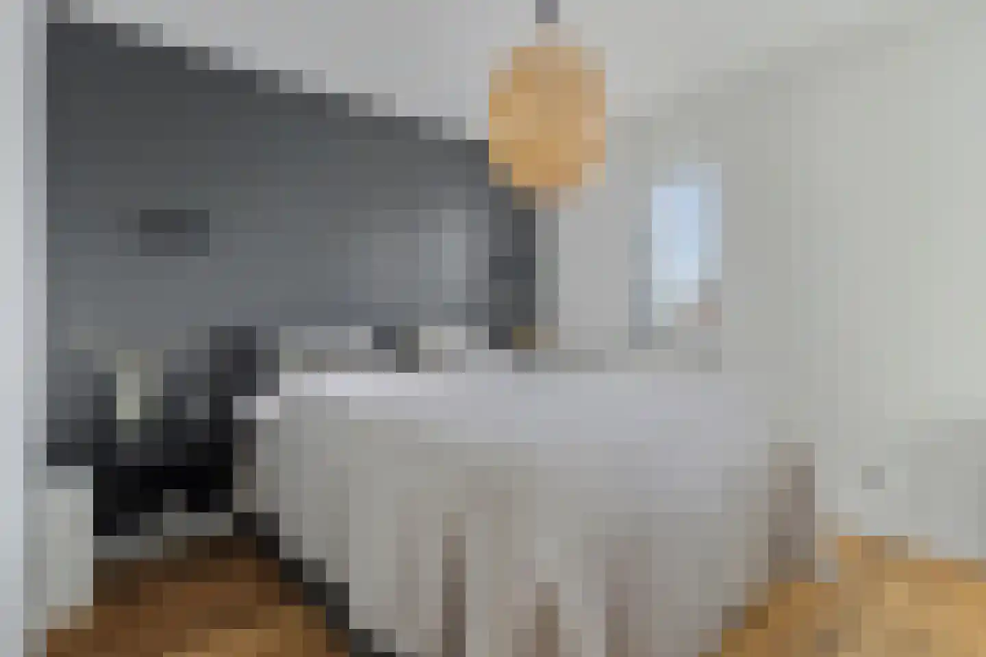 Dagpauwoog 2 Vlijmen thumbnail 18