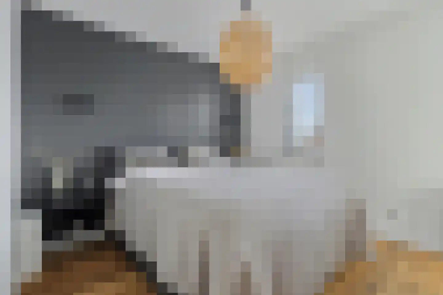 Dagpauwoog 2 Vlijmen thumbnail 20