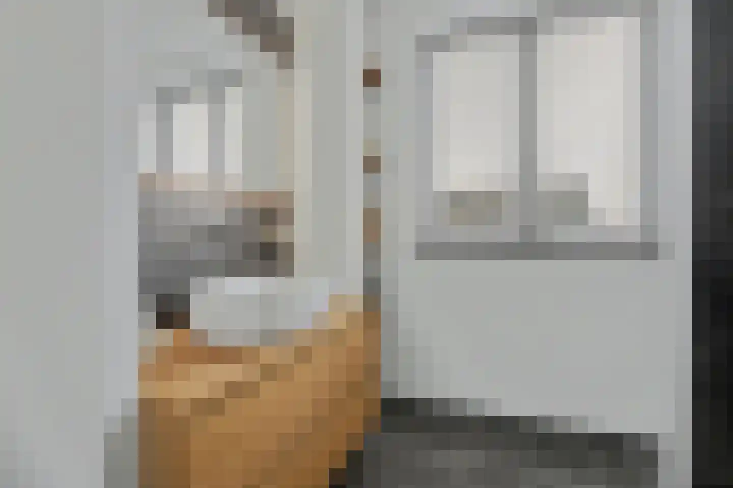 Dagpauwoog 2 Vlijmen thumbnail 21
