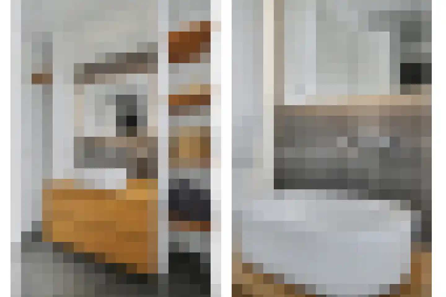 Dagpauwoog 2 Vlijmen thumbnail 22