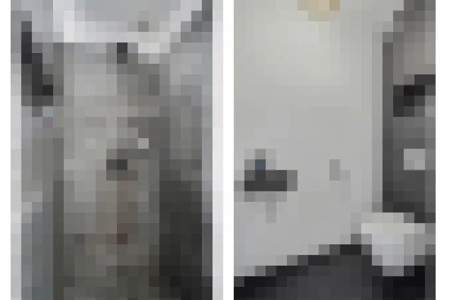 Dagpauwoog 2 Vlijmen thumbnail 23