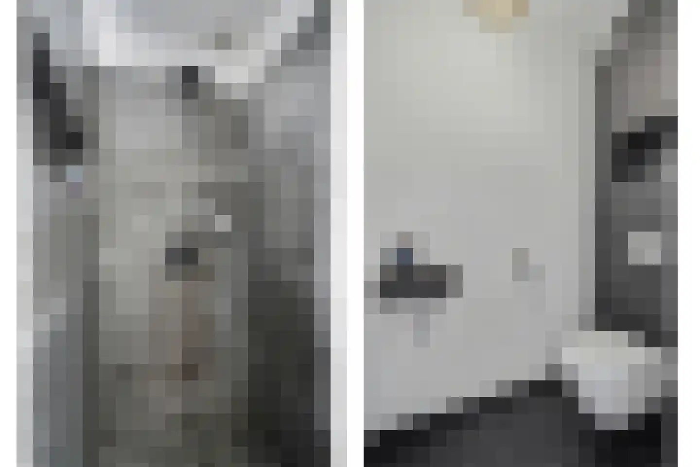Dagpauwoog 2 Vlijmen thumbnail 25