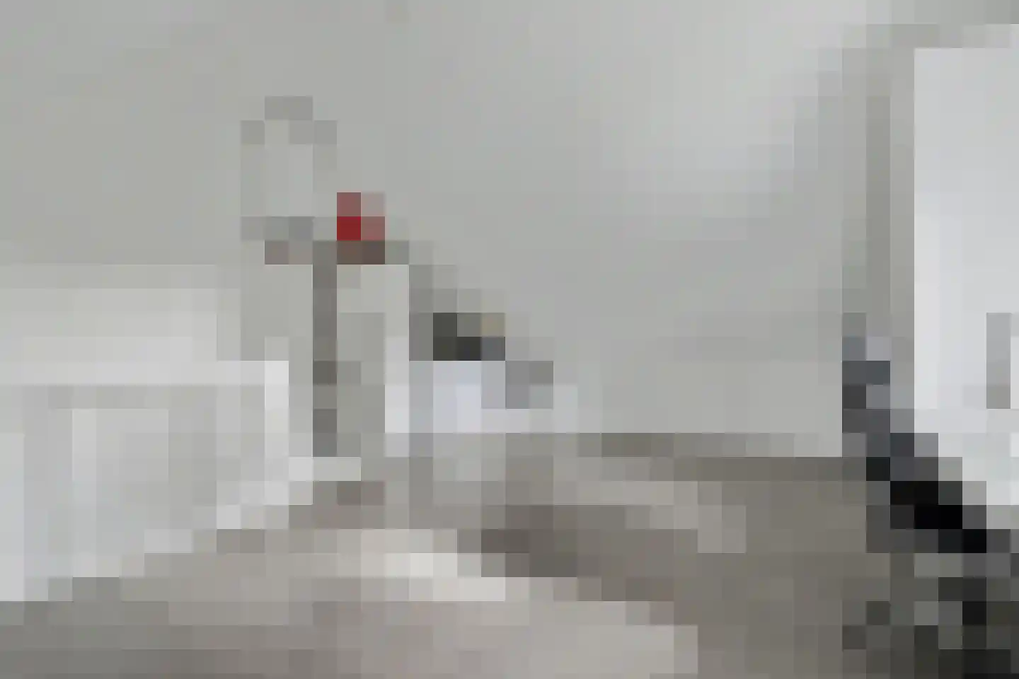 Dagpauwoog 2 Vlijmen thumbnail 29