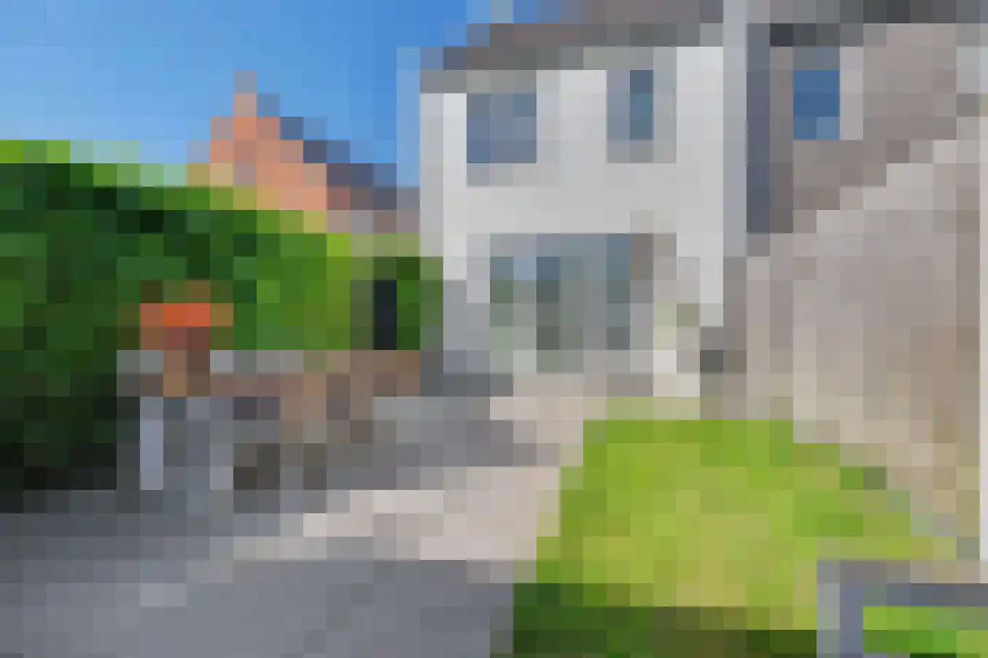 Dagpauwoog 2 Vlijmen foto 3