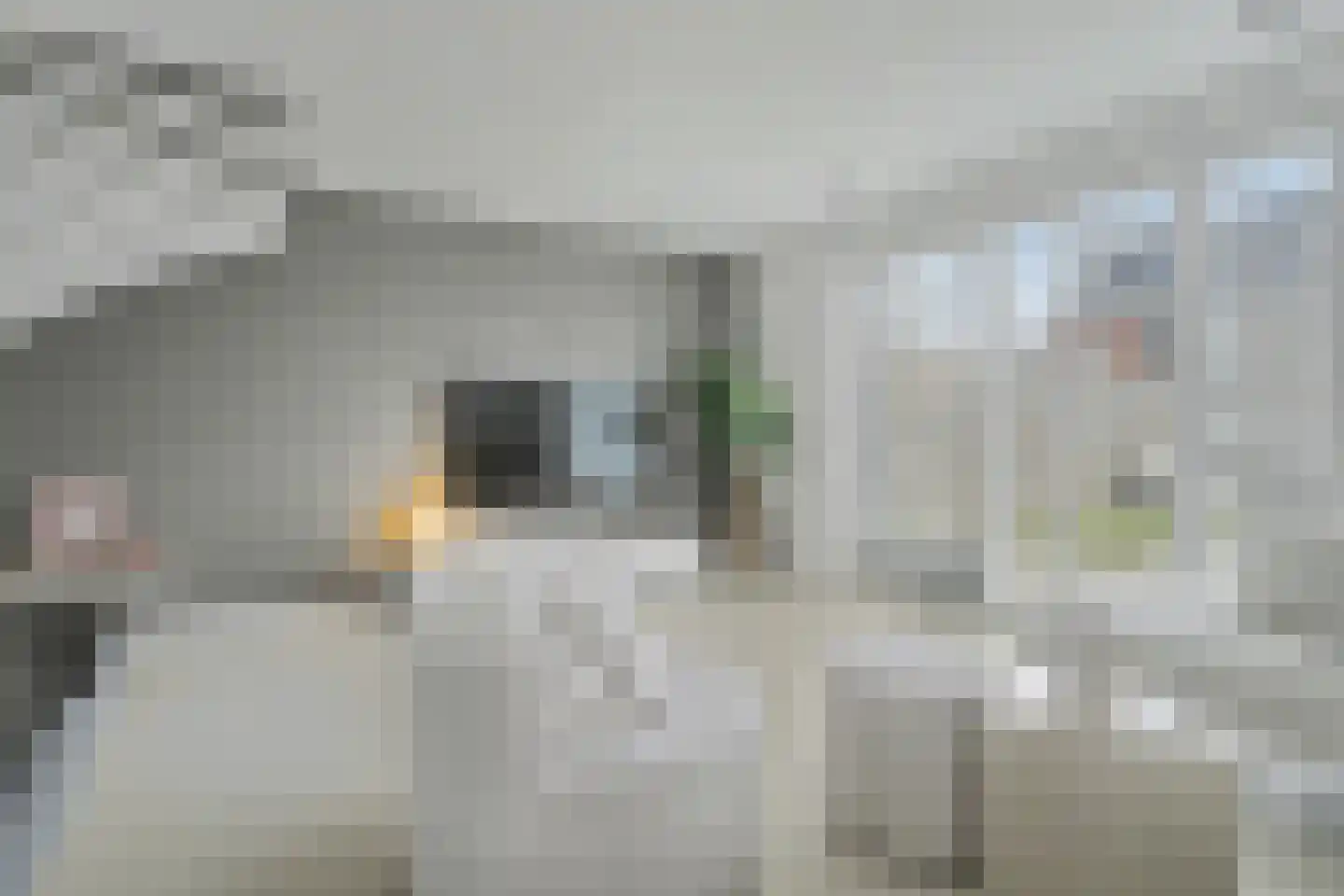 Dagpauwoog 2 Vlijmen foto 3