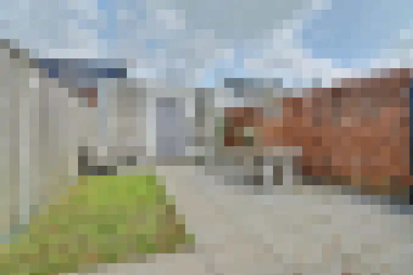 Dagpauwoog 2 Vlijmen thumbnail 31