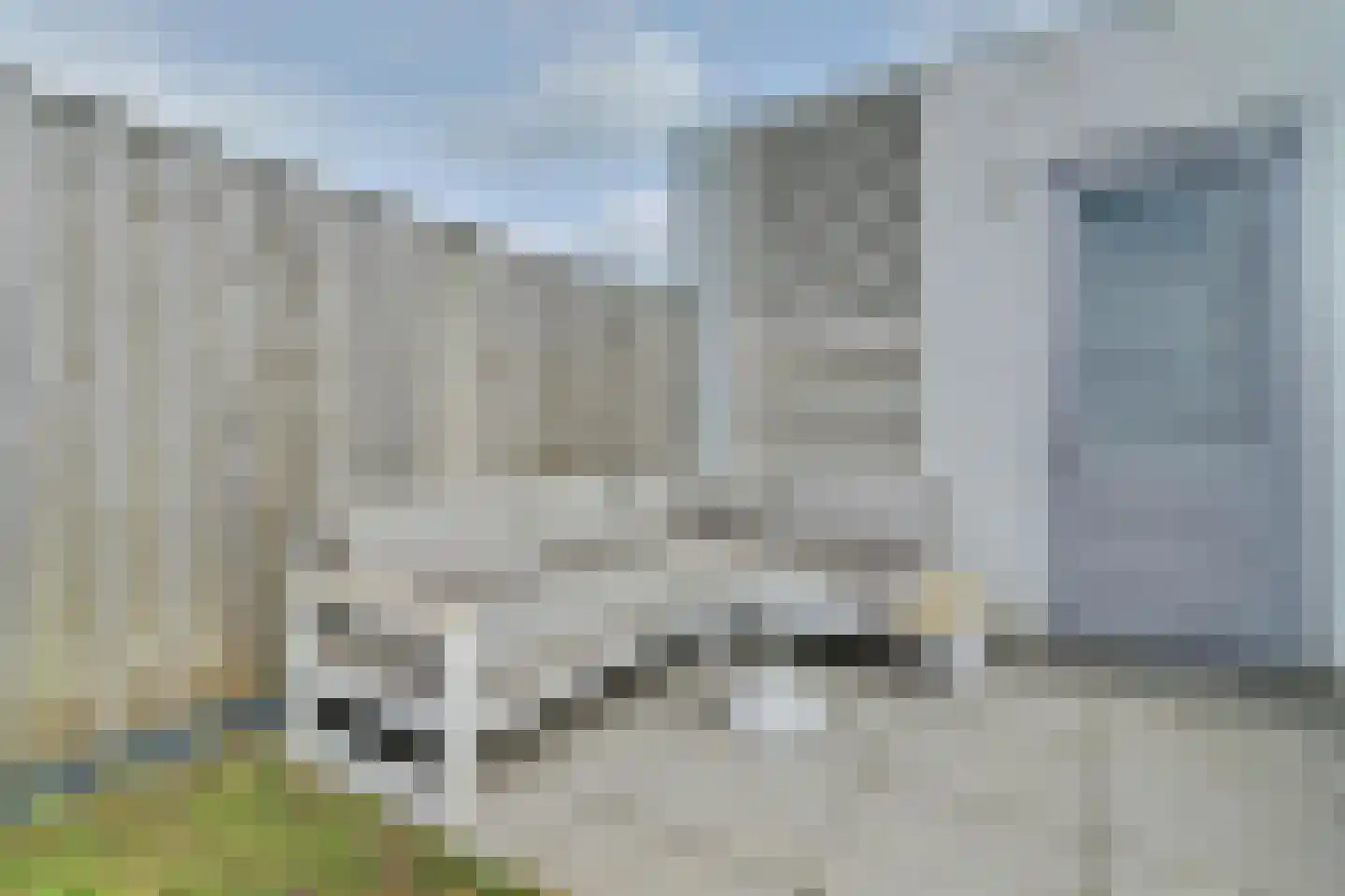 Dagpauwoog 2 Vlijmen thumbnail 33
