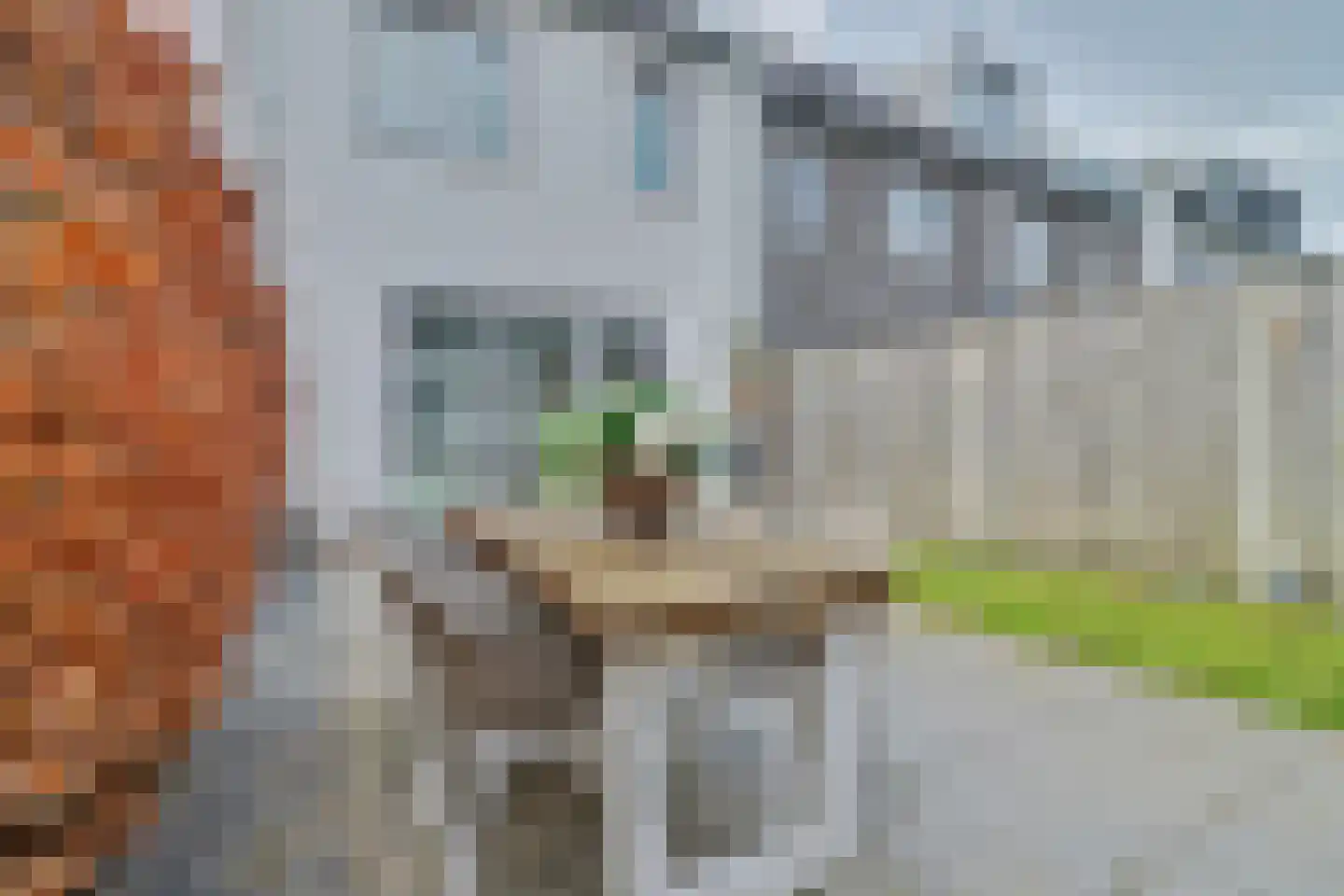 Dagpauwoog 2 Vlijmen thumbnail 35