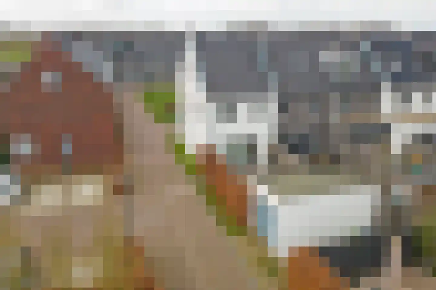 Dagpauwoog 2 Vlijmen thumbnail 37