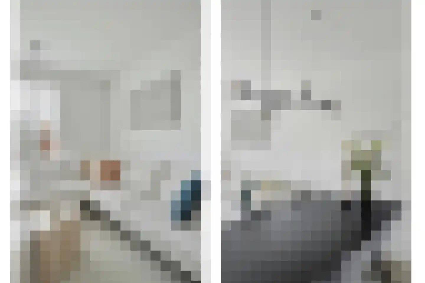 Dagpauwoog 2 Vlijmen thumbnail 4