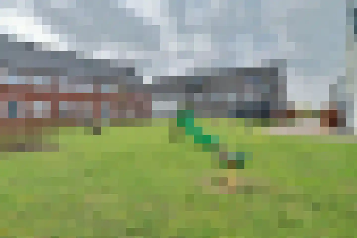 Dagpauwoog 2 Vlijmen thumbnail 44