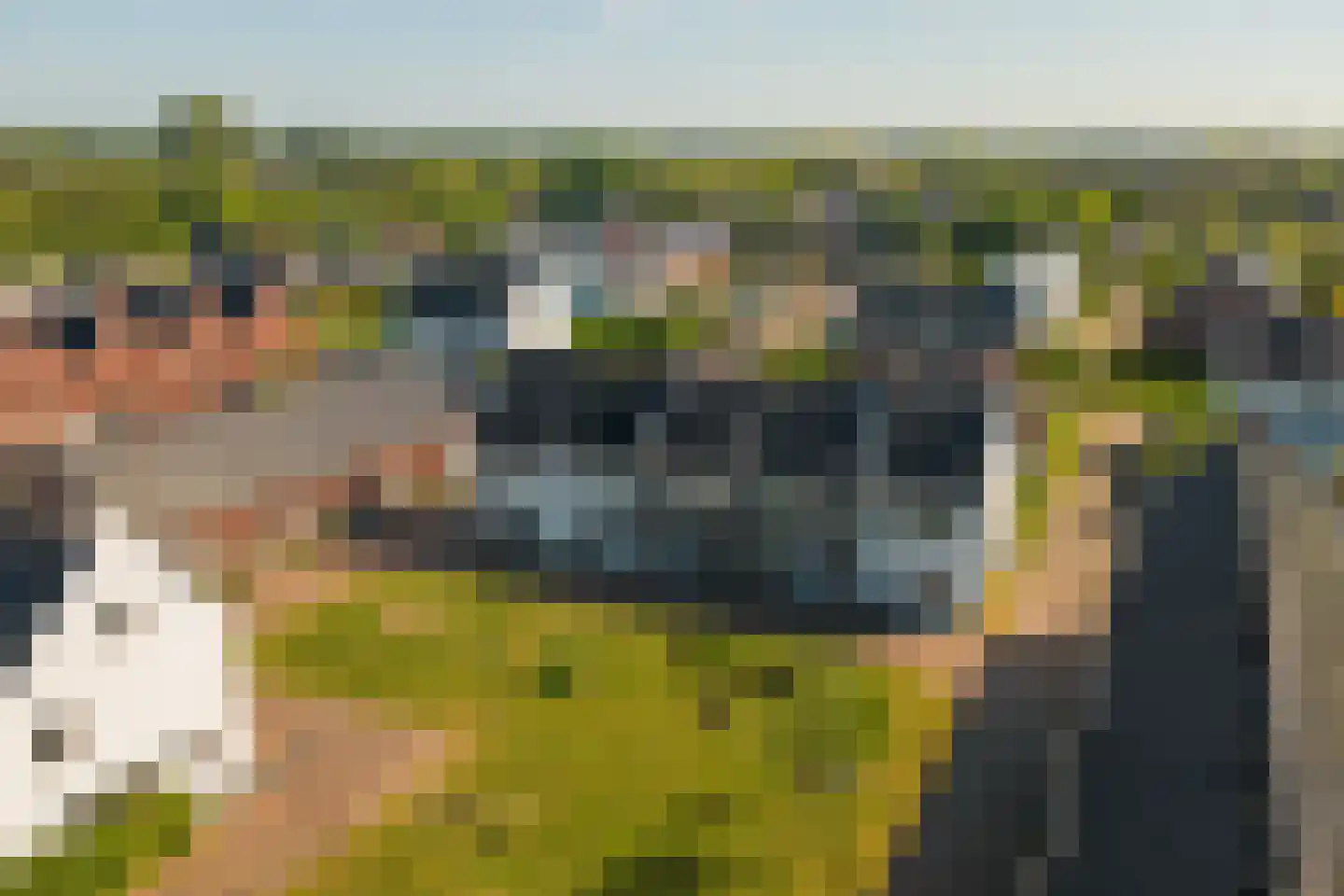 Dagpauwoog 2 Vlijmen thumbnail 46