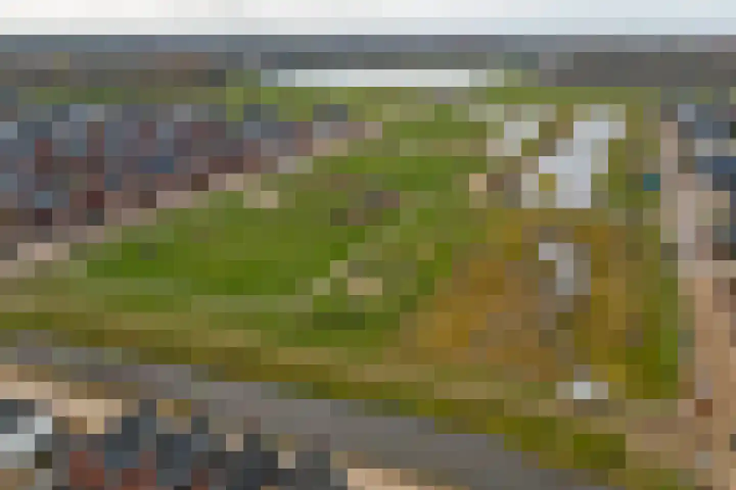 Dagpauwoog 2 Vlijmen thumbnail 46