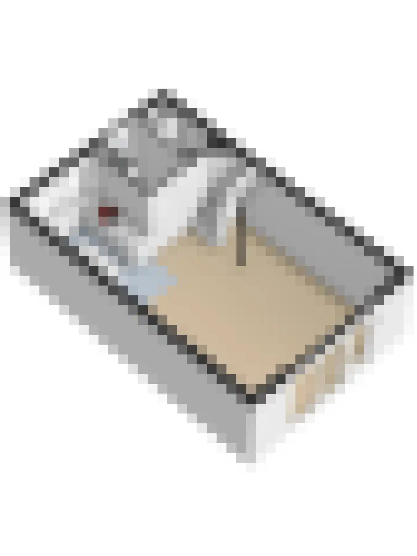 Dagpauwoog 2 Vlijmen thumbnail 48