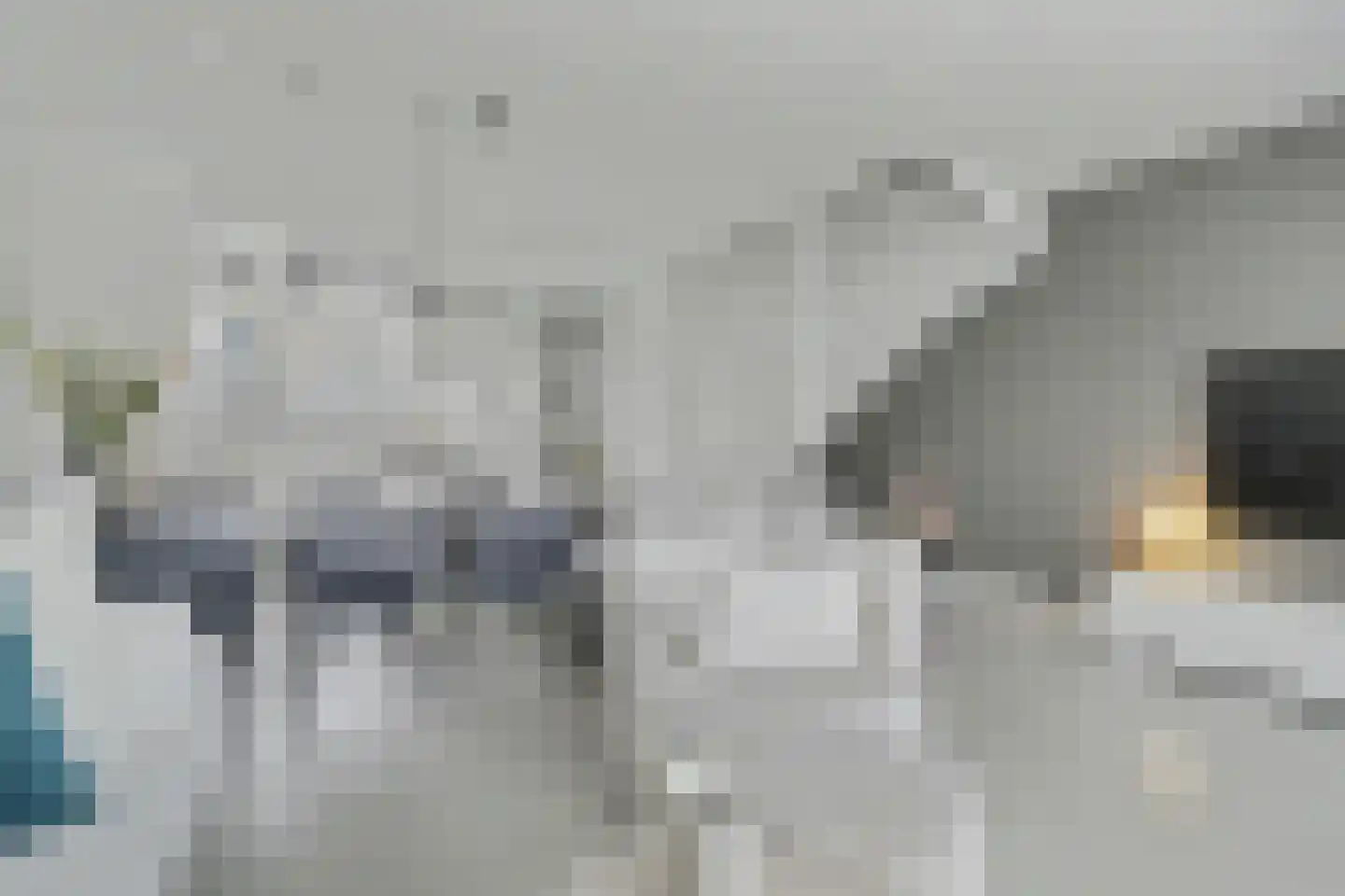 Dagpauwoog 2 Vlijmen thumbnail 6