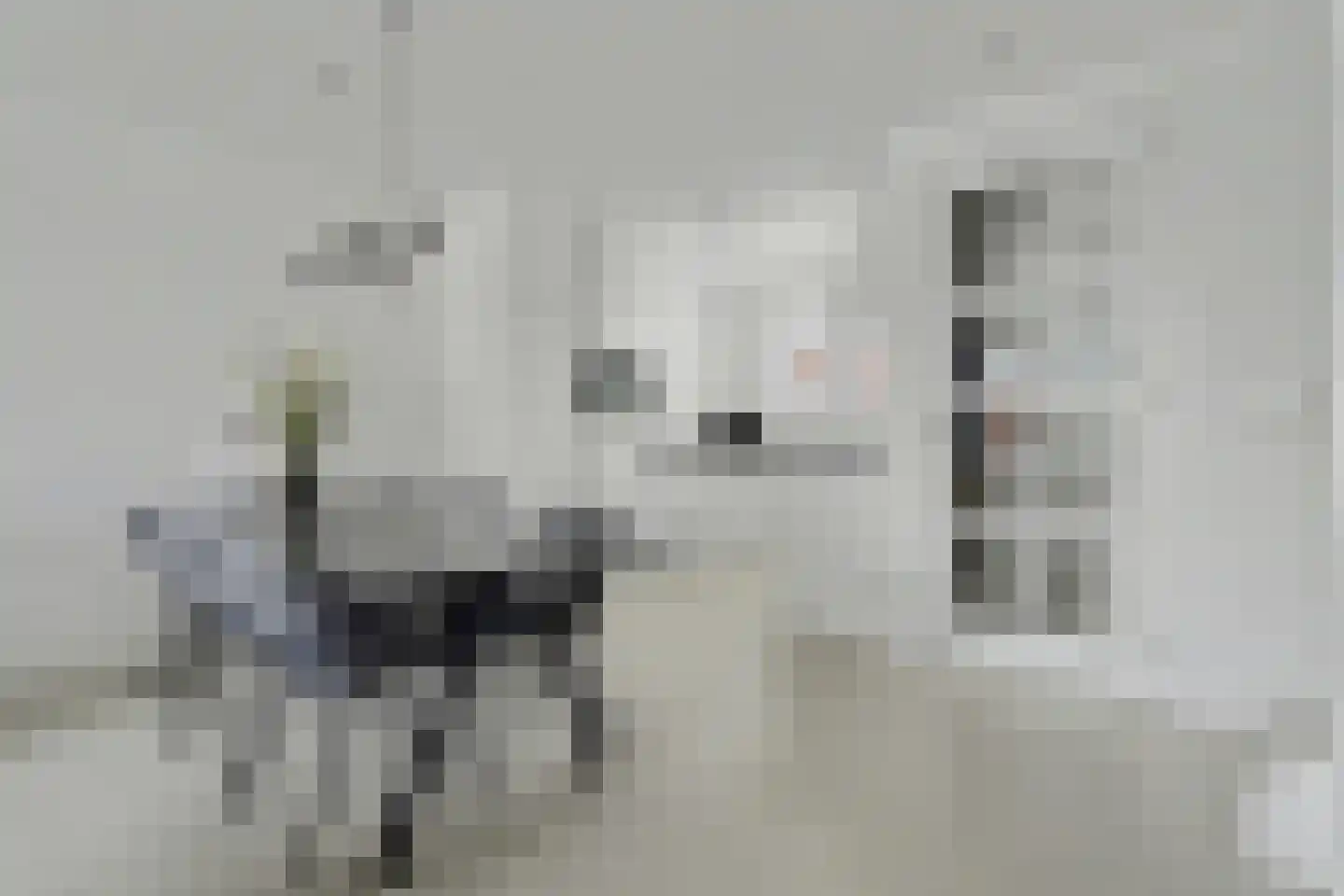 Dagpauwoog 2 Vlijmen thumbnail 7
