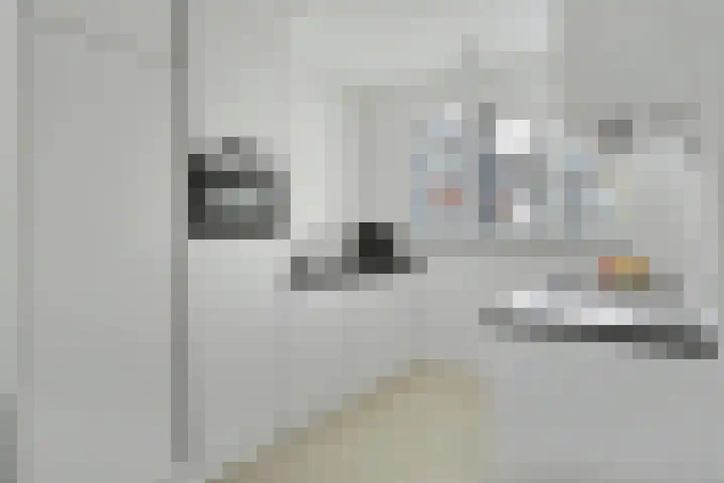 Dagpauwoog 2 Vlijmen thumbnail 9