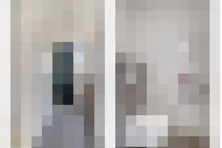 Dagpauwoog 22 Mierlo thumbnail 12