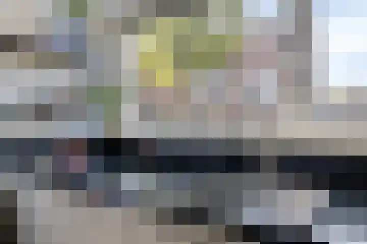 Dagpauwoog 22 Mierlo thumbnail 15