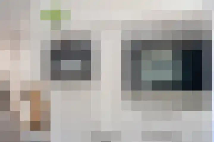Dagpauwoog 22 Mierlo thumbnail 16